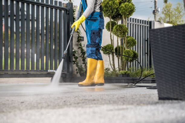 Roof Power Washing Services in Tonawanda, NY